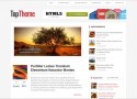 Top WordPress Theme