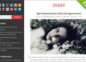 diary