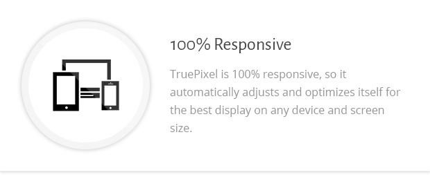 100 Percent Responsive