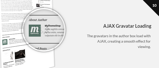 The gravatars in the author box load with AJAX, creating a smooth effect for viewing.