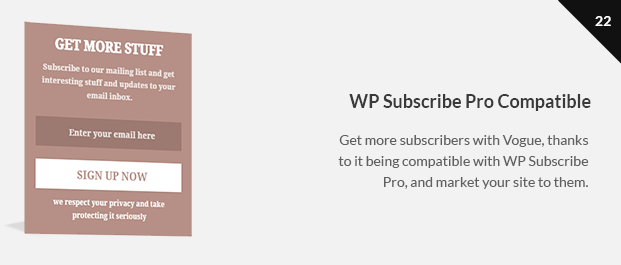 Get more subscribers with Vogue, thanks to it being compatible with WP Subscribe Pro, and market your site to them.