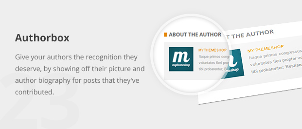 Give your authors the recognition they deserve, by showing off their picture and author biography for posts that they've contributed.