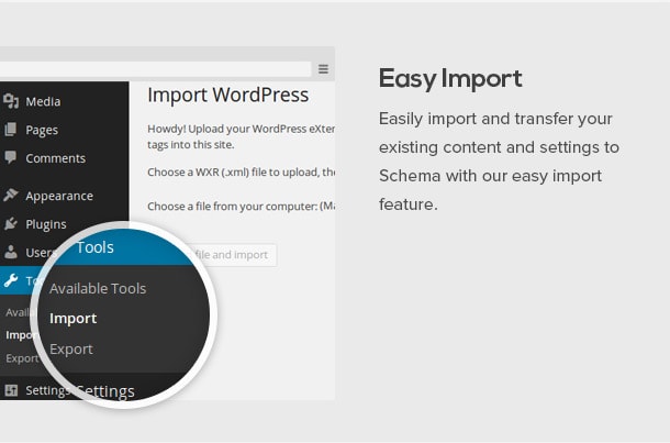 Schema Import Option