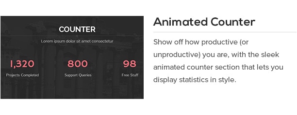 Show off how productive (or unproductive) you are, with the sleek animated counter section that lets you display statistics in style.