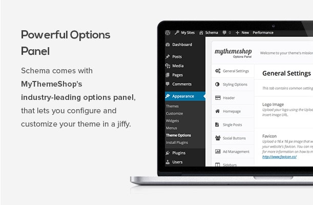 Schema Options Panel