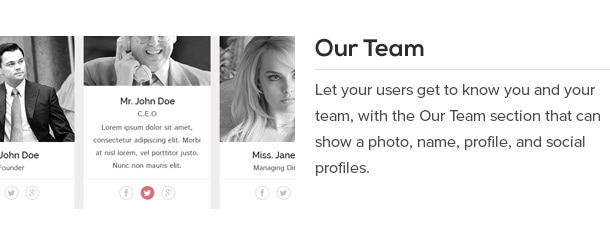 Let your users get to know you and your team, with the Our Team section that can show a photo, name, profile, and social profiles.