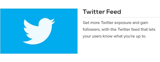 Get more Twitter exposure and gain followers, with the Twitter feed that lets your users know what you're up to.