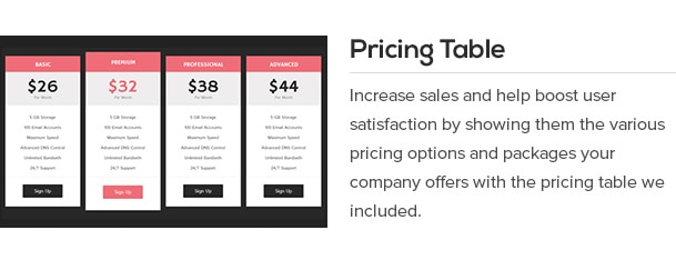 Increase sales and help boost user satisfaction by showing them the various pricing options and packages your company offers with the pricing table we included.