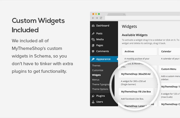 Schema Custom Widgets