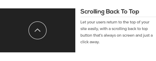 Let your users return to the top of your site easily, with a scrolling back to top button that's always on screen and just a click away.