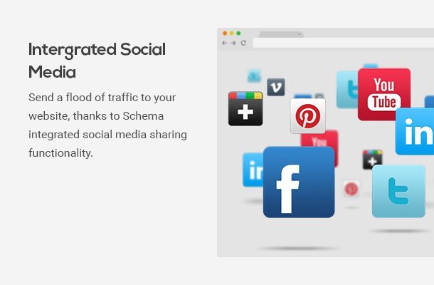 Schema Integrated Social Media