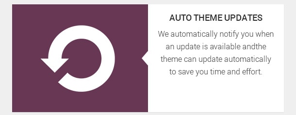 We automatically notify you when an update is available and the theme can update automatically to save you time and effort.