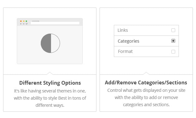 Different Styling Options - It's like having several themes in one, with the ability to style Best in tons of different ways. Add/Remove Categories/Sections - Control what gets displayed on your site with the ability to add or remove categories and sections.