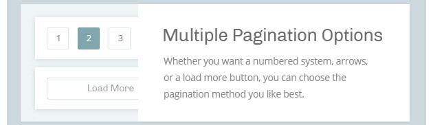 Whether you want a numbered system, arrows, or a load more button, you can choose the pagination method you like best.
