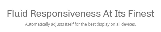 Automatically adjusts itself for the best display on all devices.