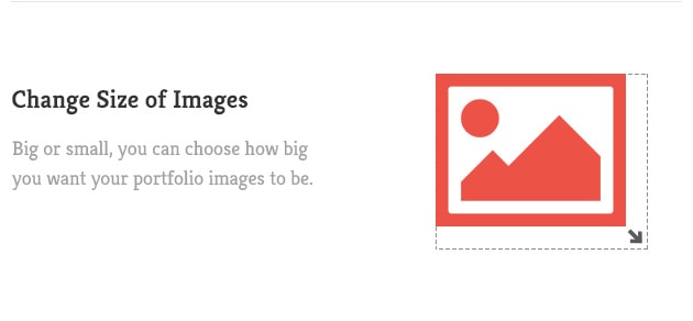 Big or small, you can choose how big you want your portfolio images to be.