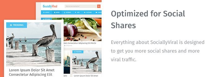 Optimized for Social Shares