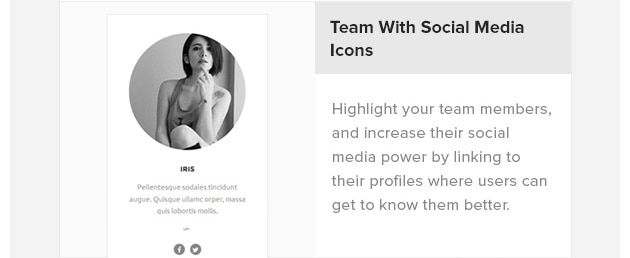 Team with Social Media Icons. Highlight your team members, and increase their social media power by linking to their profiles where users can get to know them better.