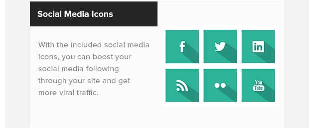 Social Media Icons. With the included social media icons, you can boost your social media following through your site and get more viral traffic.