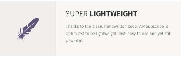Thanks to the clean, handwritten code, WP Subscribe is optimized to be lightweight, fast, easy to use and yet still powerful.
