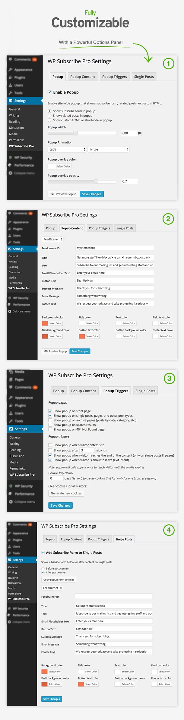 Options Panel