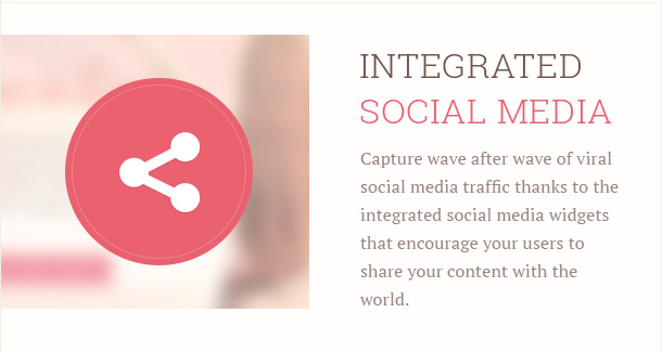 Capture wave after wave of viral social media traffic thanks to the integrated social media widgets that encourage your users to share your content with the world.