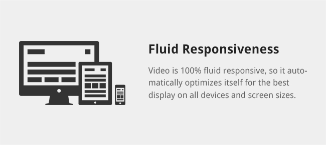 Video is 100% fluid responsive, so it automatically optimizes itself for the best display on all devices and screen sizes.