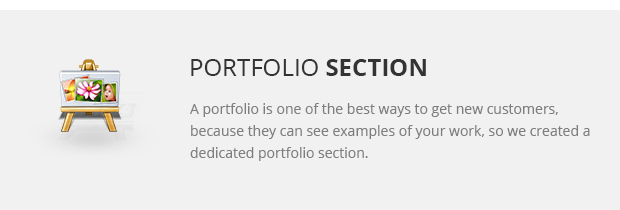 Portfolio Section