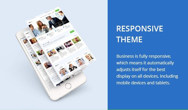 Responsive Theme