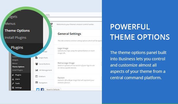 Powerful Theme Options