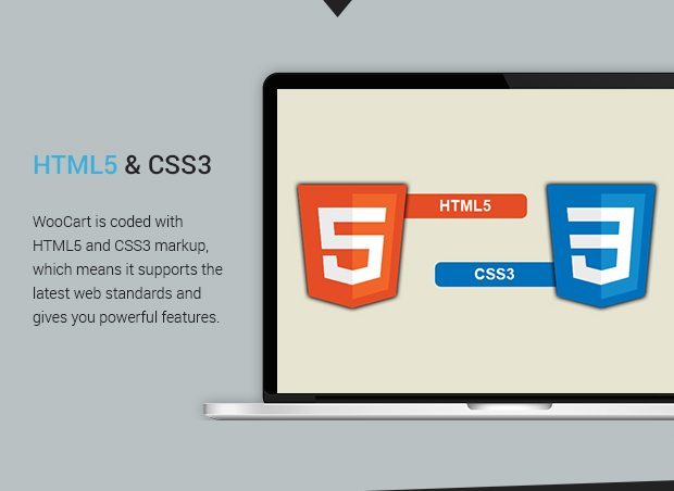 Html5 Css3