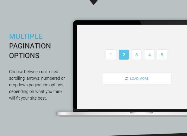 Multiple Pagination Options