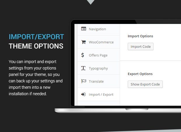 Import Export Theme Options