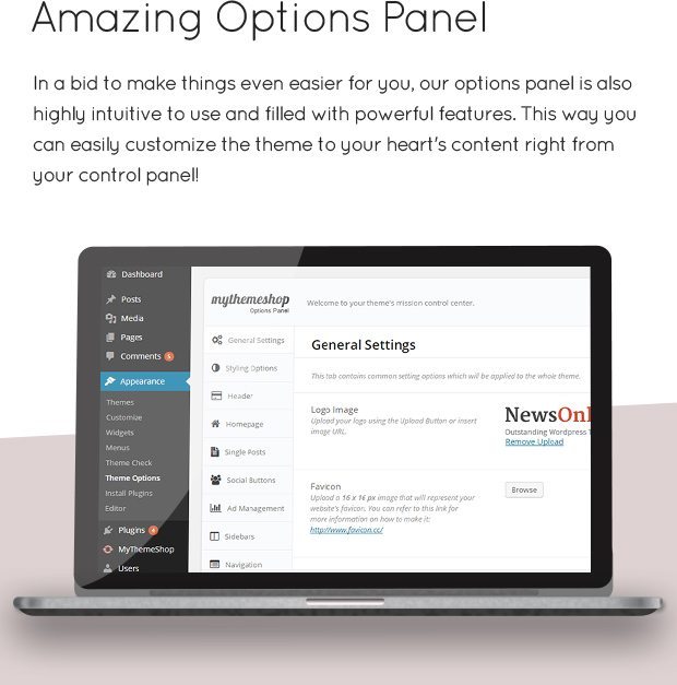 Amazing Options Panel