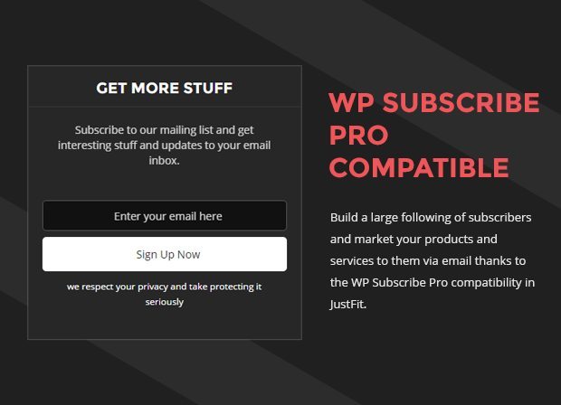 WP Subscribe Pro Compatible