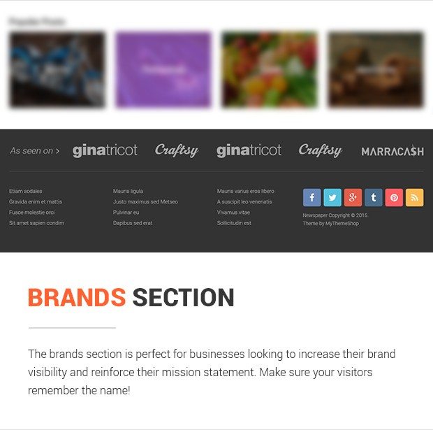 Brands Section