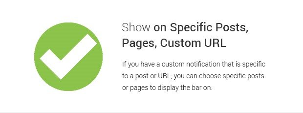 Show on Specific Posts Pages Custom URL