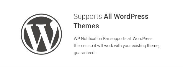 Supports All WordPress Themes