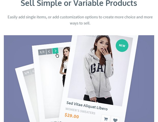 Sell Simple or Variable Products
