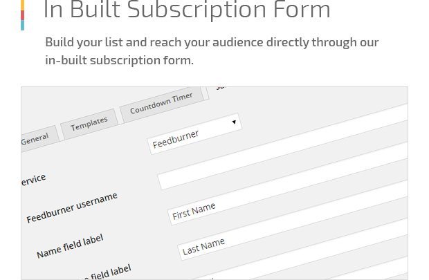 In Built Subscription Form