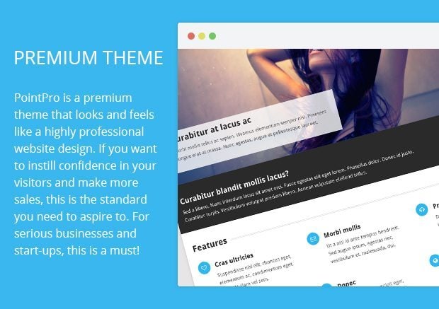 Premium Theme