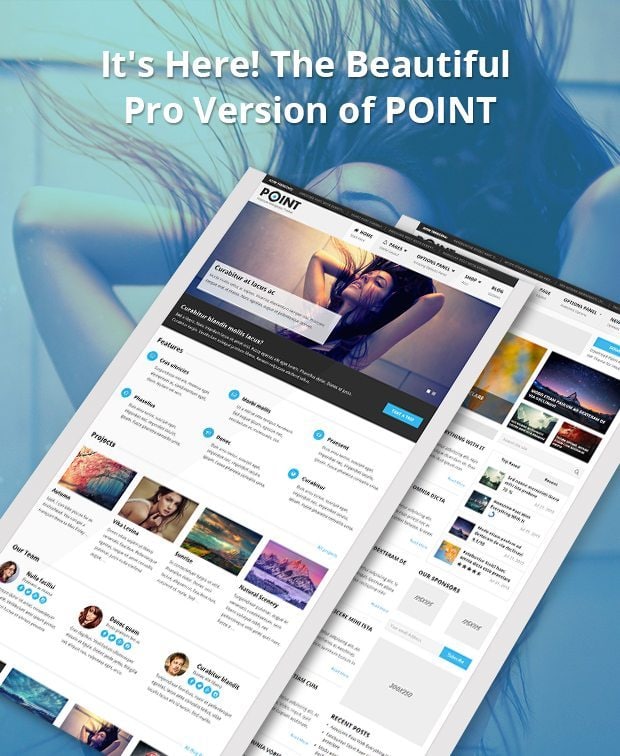 PointPro-Responsive