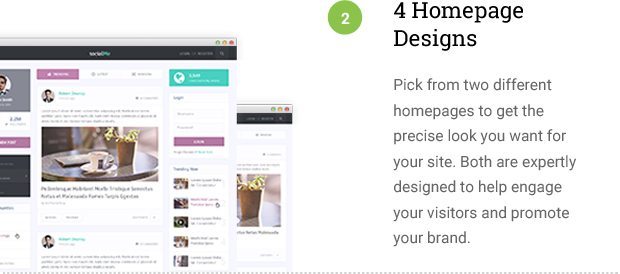 4 Homepage Options