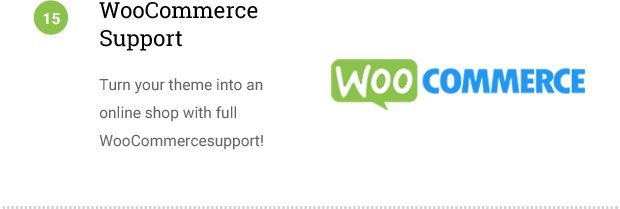 WooCommerce Support