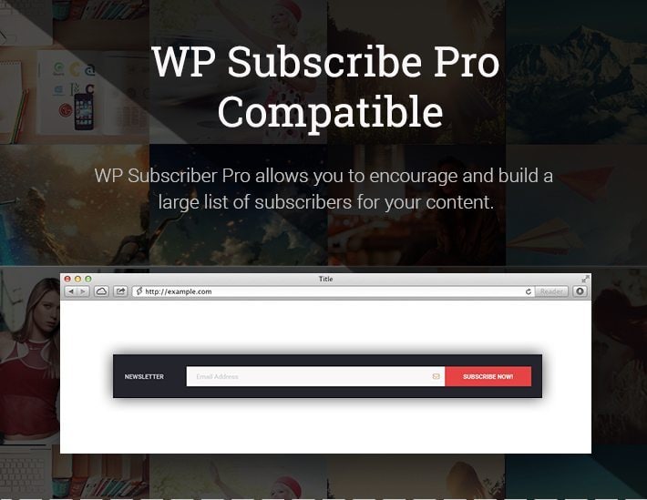 WP Subscribe Pro Compatible