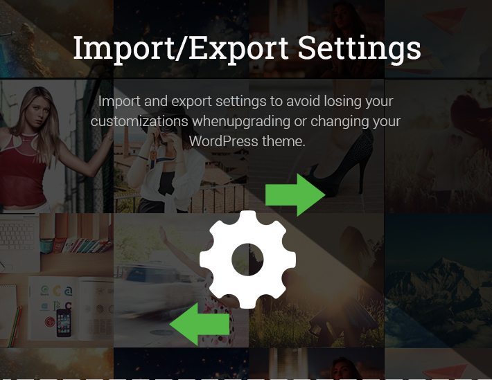 Import Export Settings