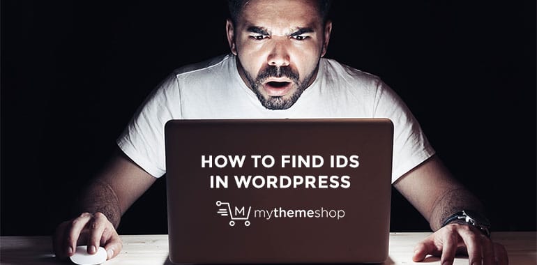 How To Find Post Category Tag Comments Or User ID In WordPress how-to-find-post-category-tag-comments-or-user-id-in-wordpress
