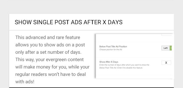 This advanced and rare feature allows you to show ads on a post only after a set number of days. This way, your evergreen content will make money for you, while your regular readers won’t have to deal with ads!