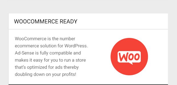 WooCommerce is the number ecommerce solution for WordPress. Ad-Sense is fully compatible and makes it easy for you to run a store that’s optimized for ads thereby doubling down on your profits!