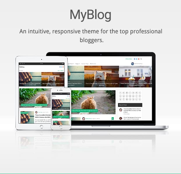 An intuitive, responsive theme for the top professional bloggers. Beautiful and Innovate Homepage Layout